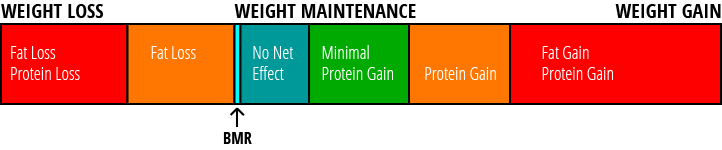 Metabolism Chart