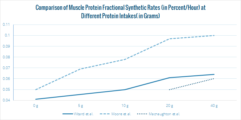 Muscle Protein Synthesis Graph