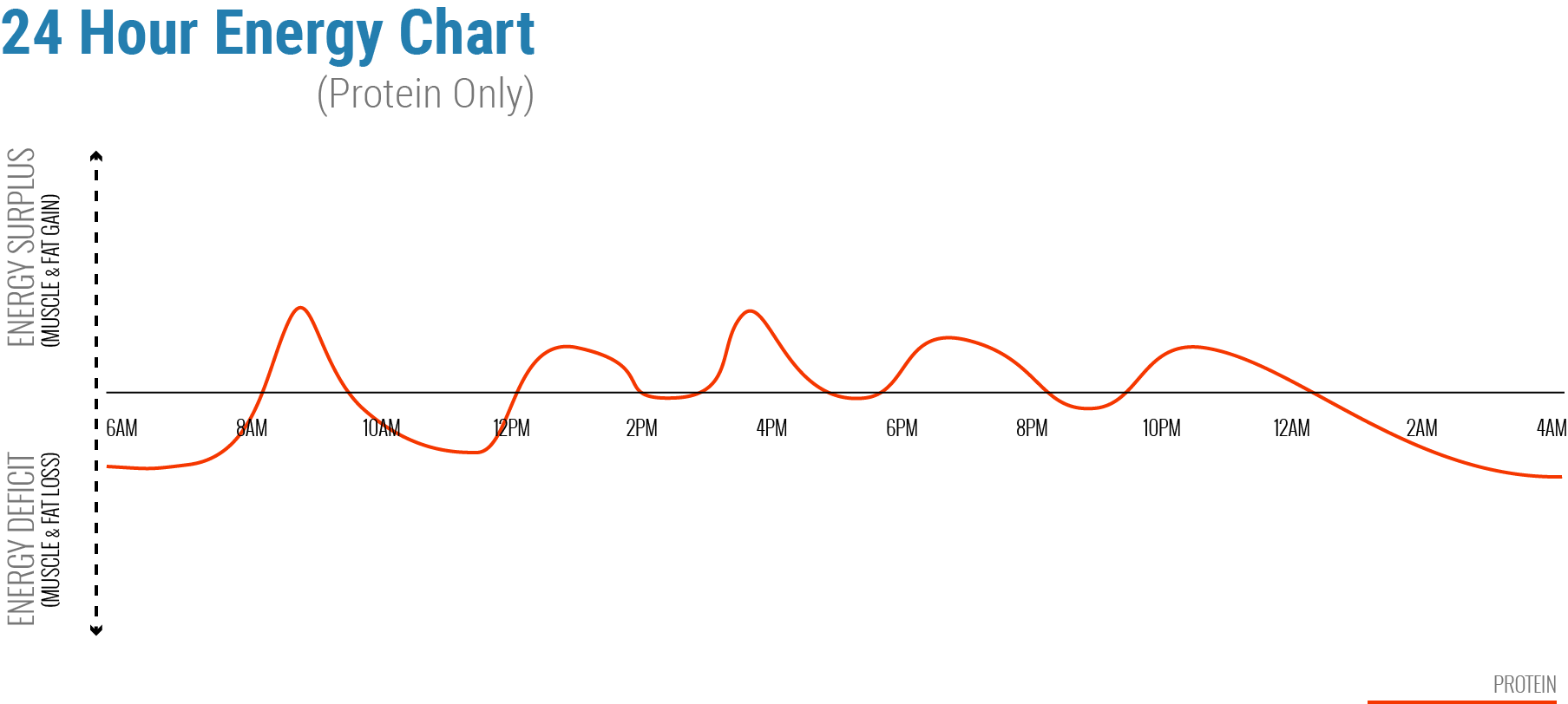 24 Hour Protein Intake Chart