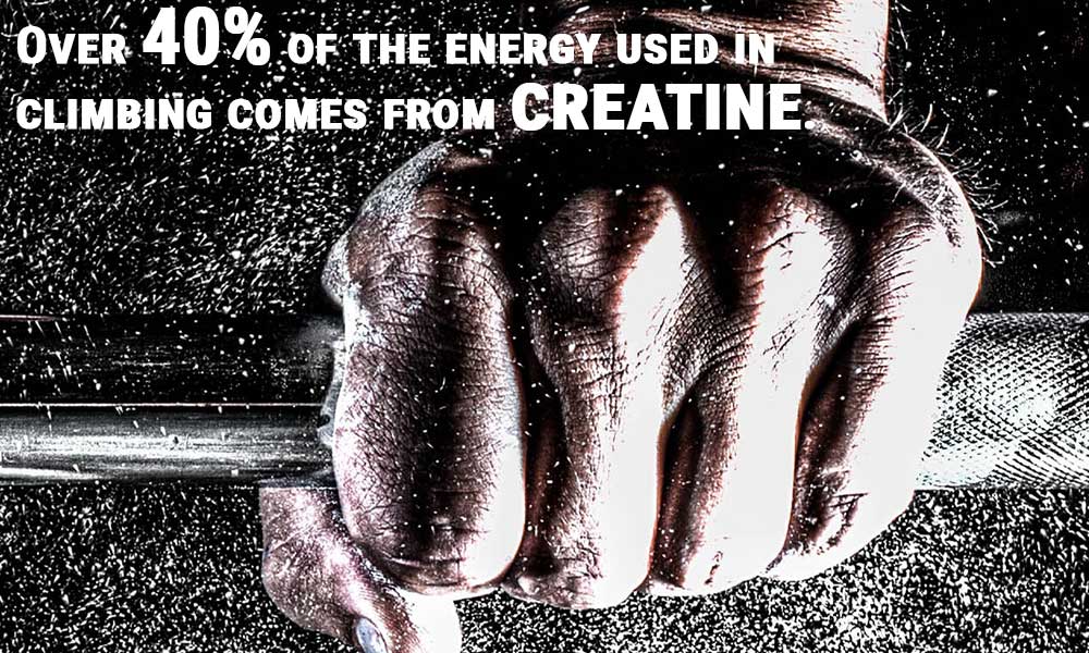 Creatine provides over 40% of the energy used in climbing.