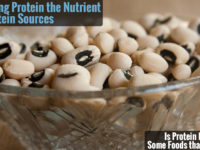 Is protein the nutrient dangerous or just protein-containing foods?