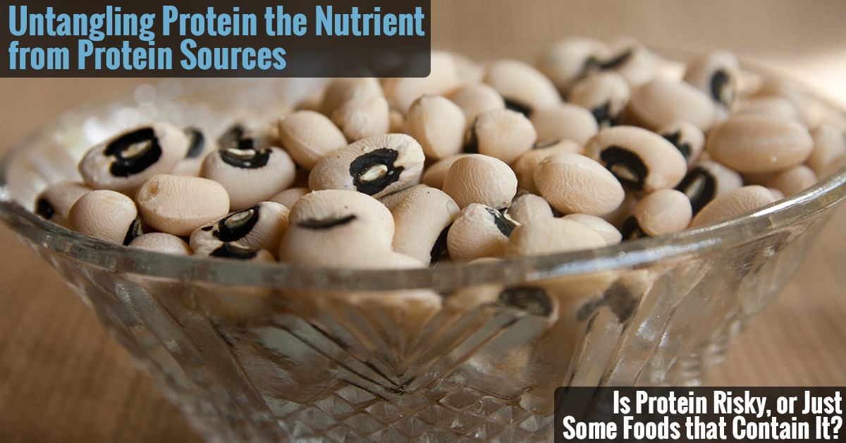 Is protein the nutrient dangerous or just protein-containing foods?