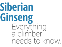 Everything a Climber Needs to Know About Siberian Ginseng