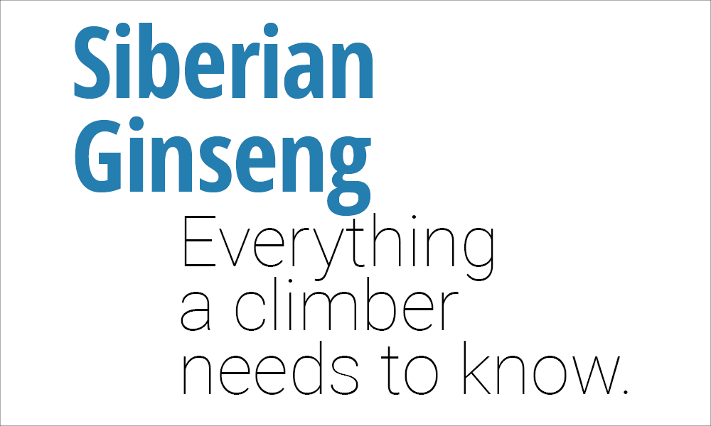 Everything a Climber Needs to Know About Siberian Ginseng