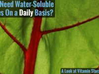 Water- and Fat-Soluble Vitamin Capacities