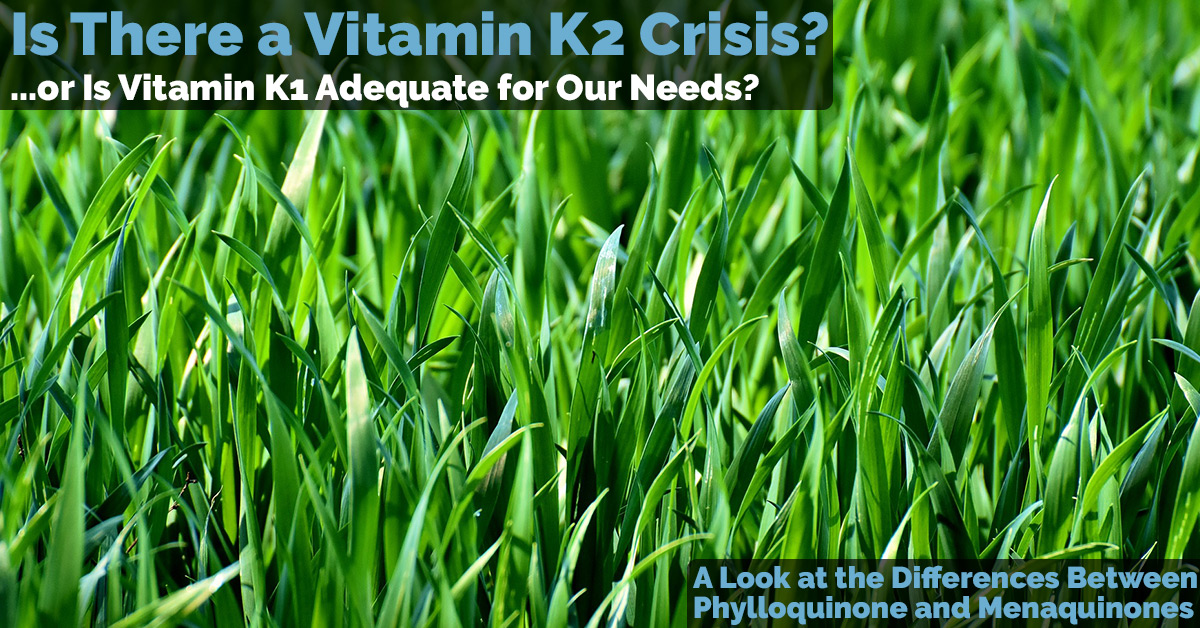 Is vitamin K2 necessary or is vitamin K1 adequate for all our needs?